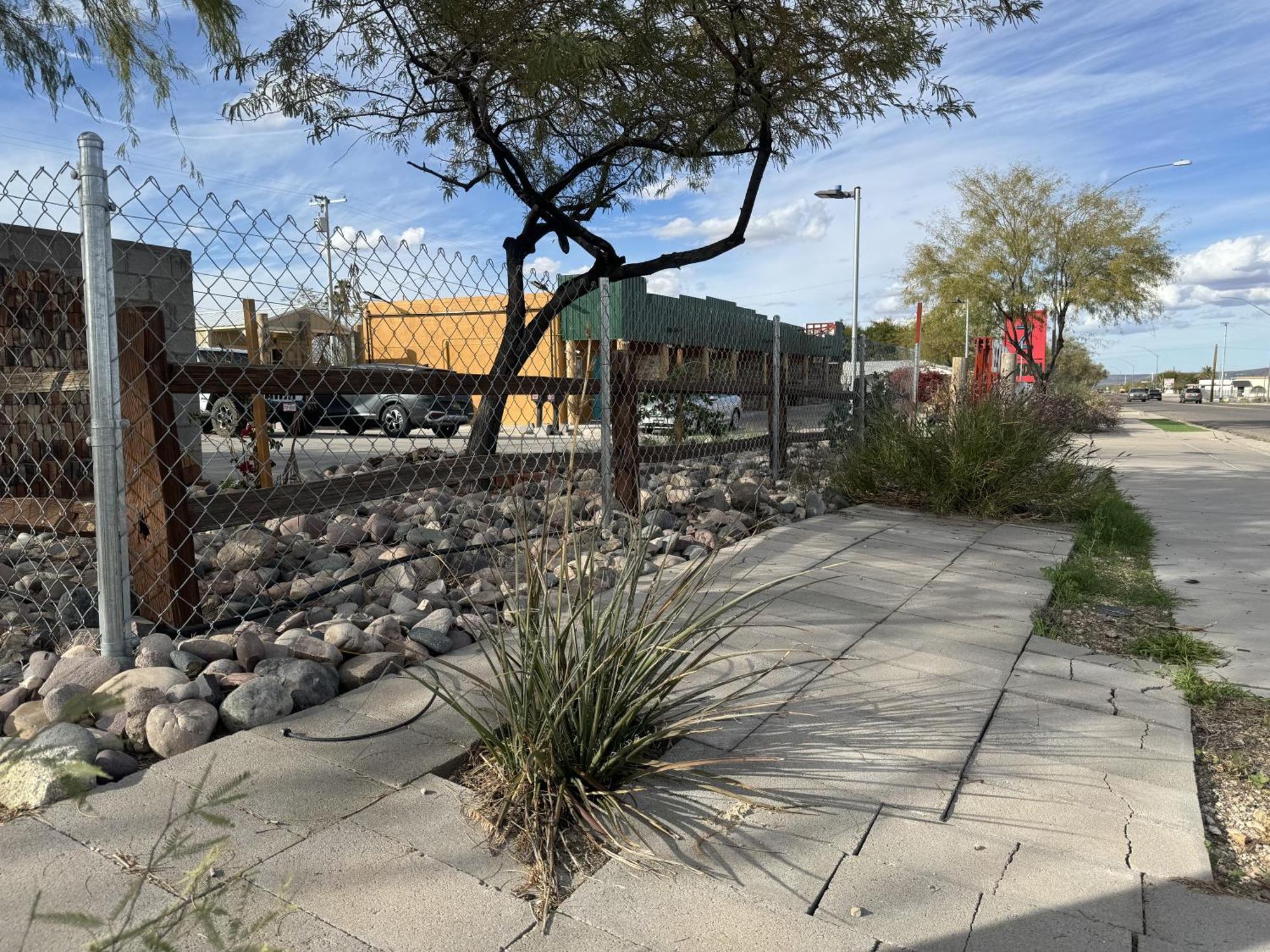 Zee Garden Motel Ajo Exterior photo